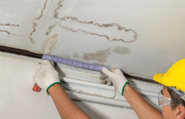 Reliable Water Extraction contractor in Mount Hamilton, CA by Water Damage Irwin